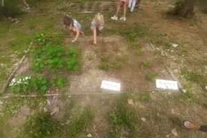 PROJET ENVIRONNEMENT ECOLE SAINTE MARIE FUVEAU POTAGER CAMOMILLE BLETTES PHOTO d'enfants qui prépare la parcelle du potager dans la terre