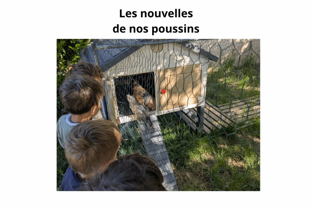 ecole sainte marie fuveau les poussins au grand air 2025 photo article