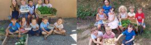potager 2024 ecole sainte marie fuveau